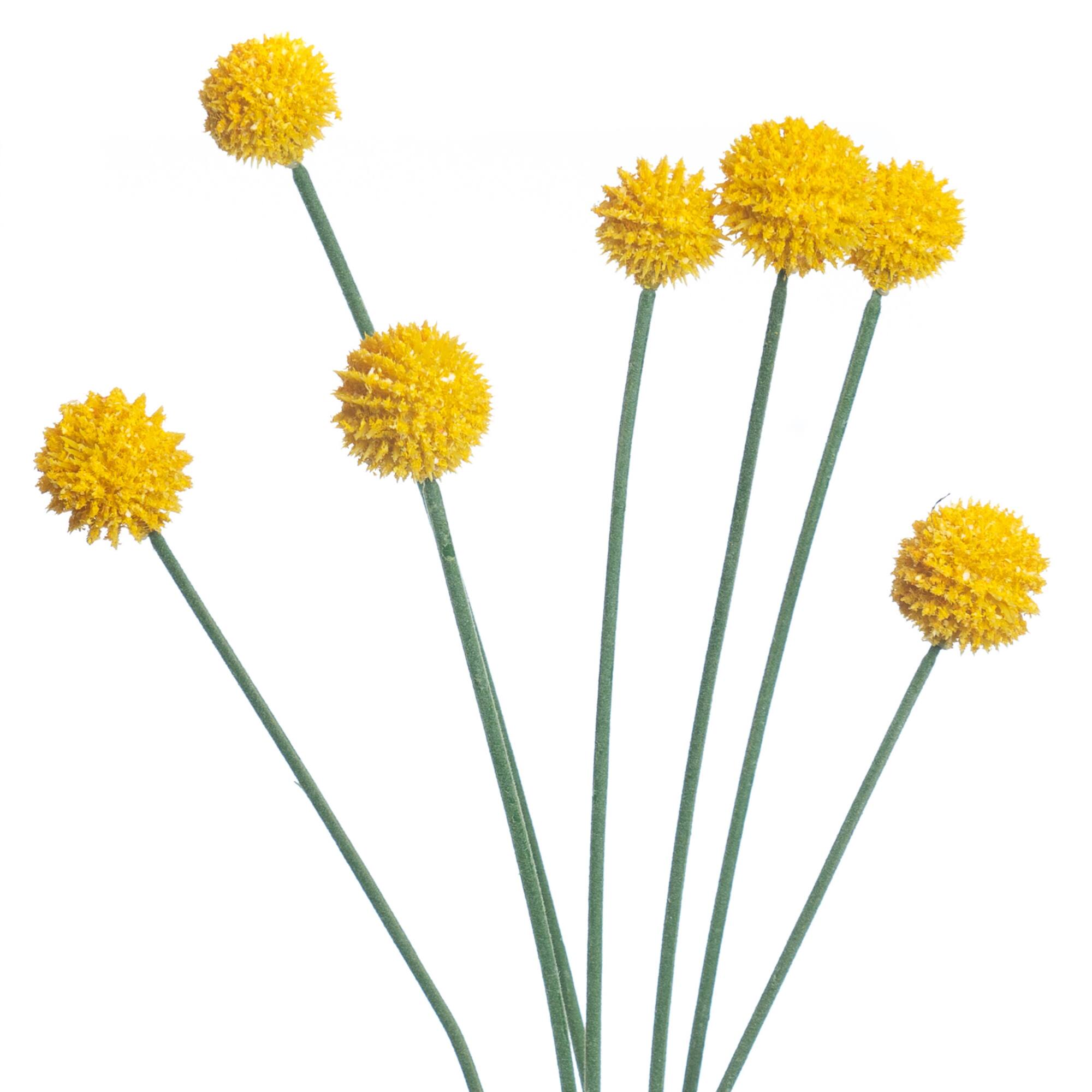 Yellow Billy Ball Stem by Ashland®